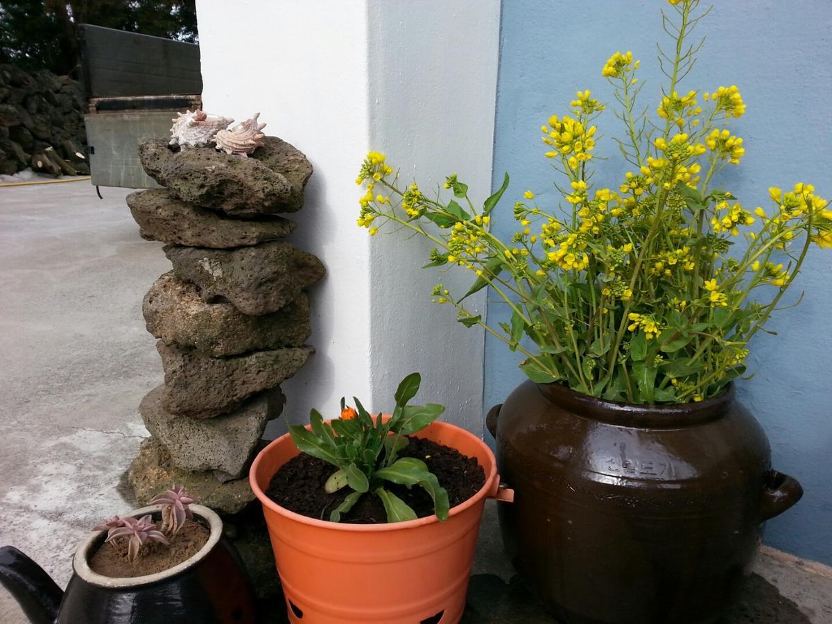 Jeju Mermuri Yerye-dong Eksteriør bilde