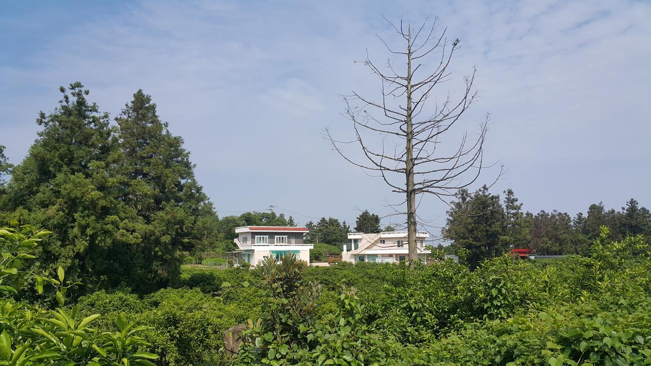 Jeju Mermuri Yerye-dong Eksteriør bilde