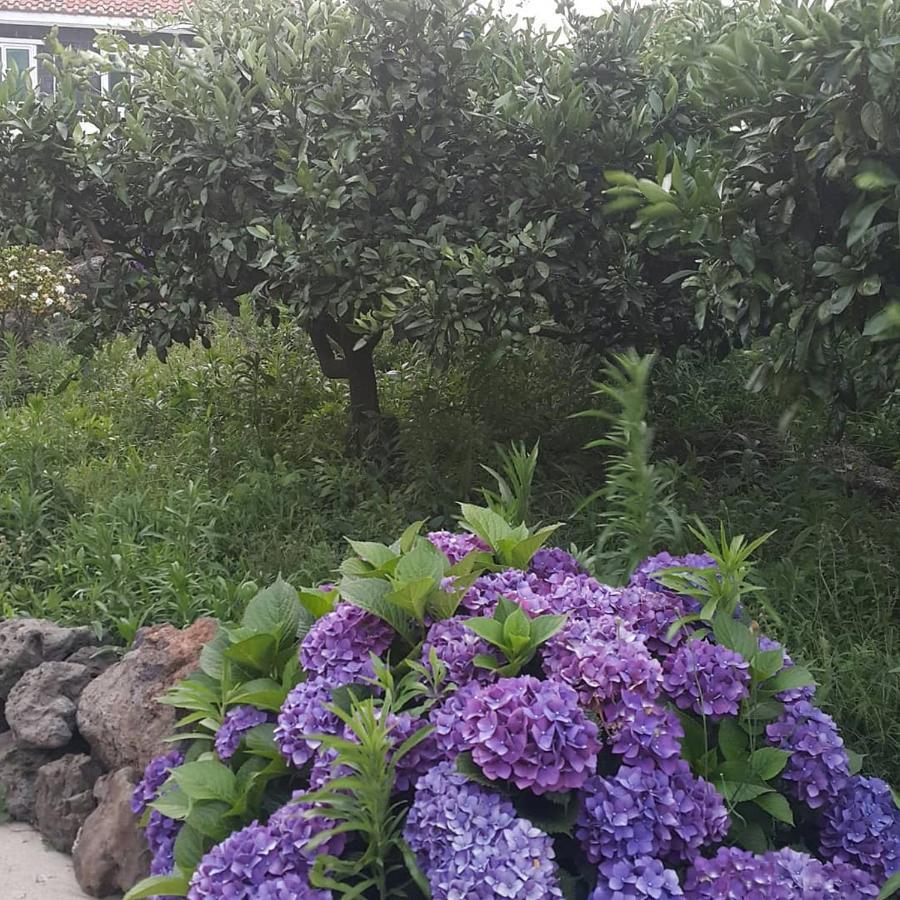 Jeju Mermuri Yerye-dong Eksteriør bilde