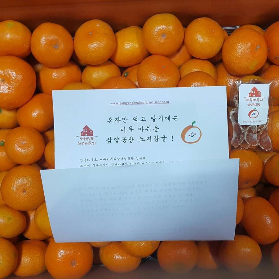 Jeju Mermuri Yerye-dong Eksteriør bilde